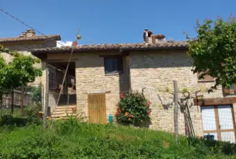 Rexer-Amandola-Vendesi-Casolare-e-terreno-ALTRO