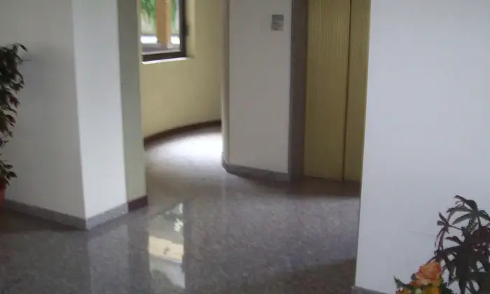 Rexer-Busto-Arsizio-Uso-transitorio-CUCINA