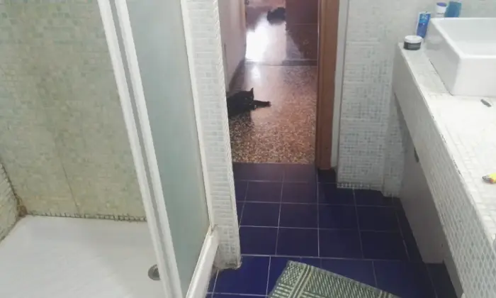 Rexer-Genova-Affitto-stanza-in-centro-storico-Genova-BAGNO