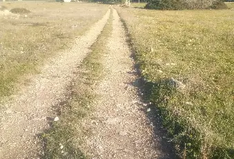 Rexer-Torricella-EX-AZIENDA-AGRICOLA-CON-CASA-COLONICA-E-CINQUANTA-ETTARI-DI-TERRENO-A-MT-DAL-MARE-CON-SPIAGGIA-SABBIOSA-Altro
