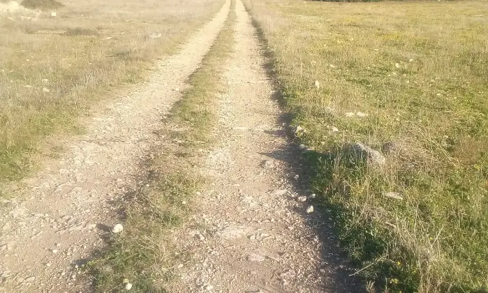 Rexer-Torricella-EX-AZIENDA-AGRICOLA-CON-CASA-COLONICA-E-CINQUANTA-ETTARI-DI-TERRENO-A-MT-DAL-MARE-CON-SPIAGGIA-SABBIOSA-Altro
