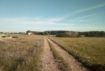Rexer-Torricella-EX-AZIENDA-AGRICOLA-CON-CASA-COLONICA-E-CINQUANTA-ETTARI-DI-TERRENO-A-MT-DAL-MARE-CON-SPIAGGIA-SABBIOSA-Altro