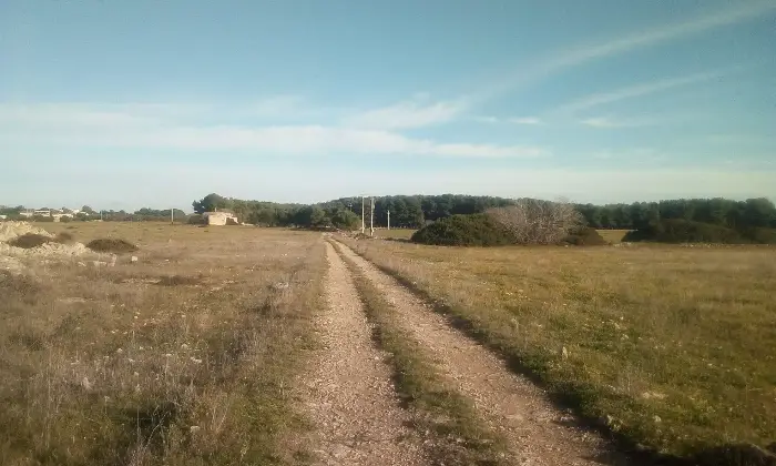 Rexer-Torricella-EX-AZIENDA-AGRICOLA-CON-CASA-COLONICA-E-CINQUANTA-ETTARI-DI-TERRENO-A-MT-DAL-MARE-CON-SPIAGGIA-SABBIOSA-Altro