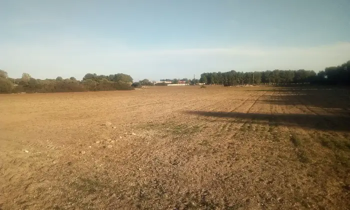 Rexer-Torricella-EX-AZIENDA-AGRICOLA-CON-CASA-COLONICA-E-CINQUANTA-ETTARI-DI-TERRENO-A-MT-DAL-MARE-CON-SPIAGGIA-SABBIOSA-Altro