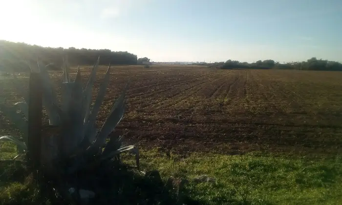 Rexer-Torricella-EX-AZIENDA-AGRICOLA-CON-CASA-COLONICA-E-CINQUANTA-ETTARI-DI-TERRENO-A-MT-DAL-MARE-CON-SPIAGGIA-SABBIOSA-Altro