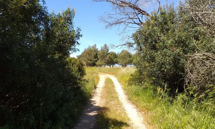 Rexer-Torricella-EX-AZIENDA-AGRICOLA-CON-CASA-COLONICA-E-CINQUANTA-ETTARI-DI-TERRENO-A-MT-DAL-MARE-CON-SPIAGGIA-SABBIOSA-Altro