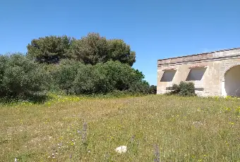 Rexer-Torricella-EX-AZIENDA-AGRICOLA-CON-CASA-COLONICA-E-CINQUANTA-ETTARI-DI-TERRENO-A-MT-DAL-MARE-CON-SPIAGGIA-SABBIOSA-Altro