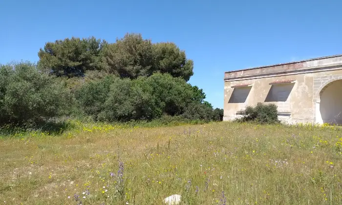 Rexer-Torricella-EX-AZIENDA-AGRICOLA-CON-CASA-COLONICA-E-CINQUANTA-ETTARI-DI-TERRENO-A-MT-DAL-MARE-CON-SPIAGGIA-SABBIOSA-Altro