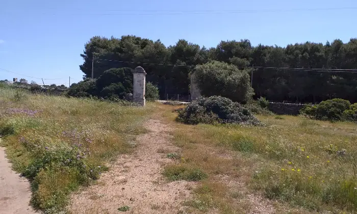 Rexer-Torricella-EX-AZIENDA-AGRICOLA-CON-CASA-COLONICA-E-CINQUANTA-ETTARI-DI-TERRENO-A-MT-DAL-MARE-CON-SPIAGGIA-SABBIOSA-Altro