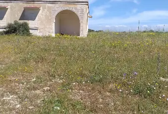 Rexer-Torricella-EX-AZIENDA-AGRICOLA-CON-CASA-COLONICA-E-CINQUANTA-ETTARI-DI-TERRENO-A-MT-DAL-MARE-CON-SPIAGGIA-SABBIOSA-Altro