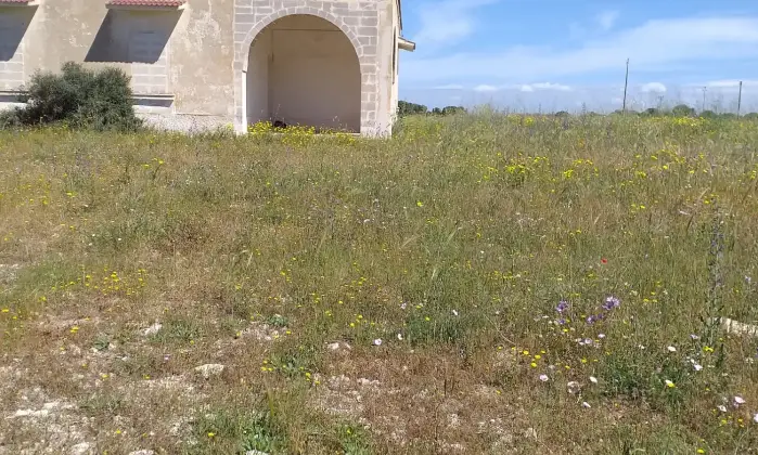 Rexer-Torricella-EX-AZIENDA-AGRICOLA-CON-CASA-COLONICA-E-CINQUANTA-ETTARI-DI-TERRENO-A-MT-DAL-MARE-CON-SPIAGGIA-SABBIOSA-Altro