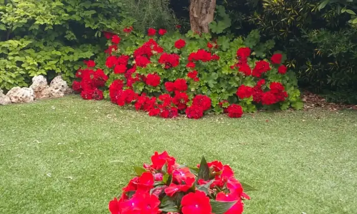 Rexer-Parabita-SALENTO-RELAX-PURO-TRA-MARE-E-CAMPAGNA-OTTIMA-SOLUZIONE-PER-APPARTAMENTO-O-BB-PREZZO-RIBASSATO-GIARDINO