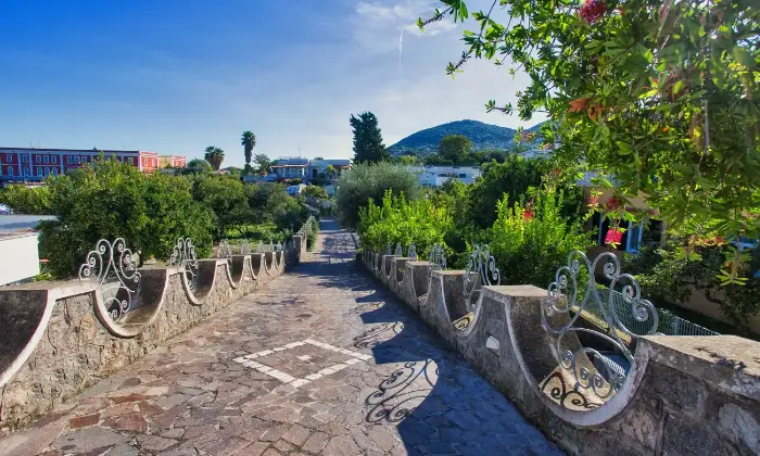 Rexer-Casamicciola-Terme-FITTO-BILOCALITRILOCALI-IN-CONTESTO-SIGNORILE-ALTRO