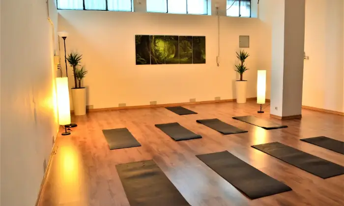 Rexer-Torino-SALE-A-TORINO-PER-CORSI-SEMINARI-PILATES-YOGA-ALTRO