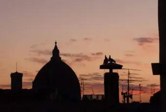 Rexer-Firenze-Attico-nel-centro-storico-Vista-monumenti
