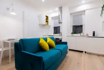 Rexer-Milano-Appartamento-zona-Ospedale-San-Raffaele-SALONE