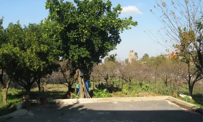 Rexer-Napoli-Appartamento-nel-verde-tra-Chiaiano-e-Santacroce-GIARDINO