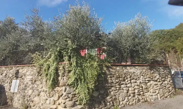 Rexer-Pontremoli-Villa-Lunense-Imperiale-GIARDINO