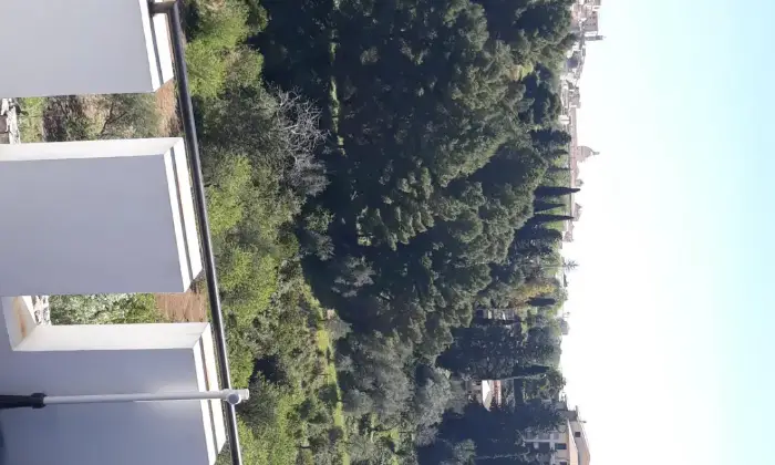 Rexer-Noto-Casa-nuova-e-indipendente-con-giardino-comune-TERRAZZO