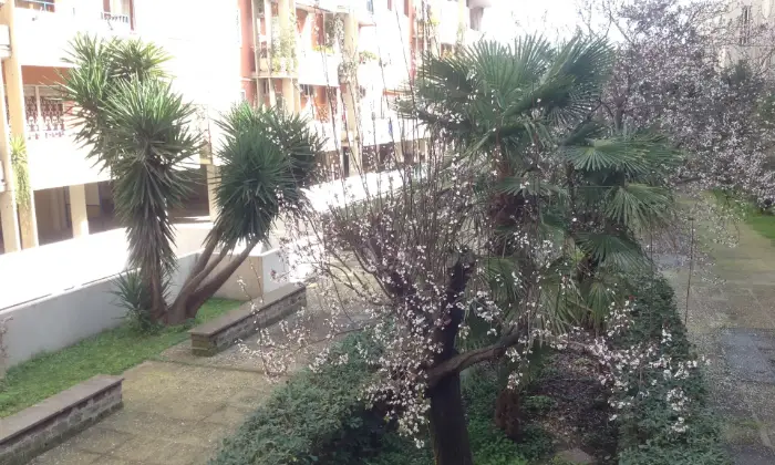 Rexer-Roma-Quart-semicentr-signor-resid-privato-TERRAZZO