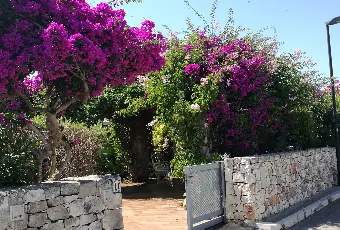 Rexer-Ostuni-Villa-indipendente-in-residence-Ostuni-Marina-GIARDINO