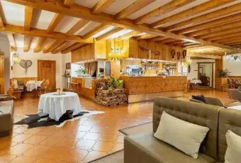 Rexer-Cortina-dAmpezzo-N-Multipropriet-in-vendita-a-Cortina-dAmpezzo-SALONE