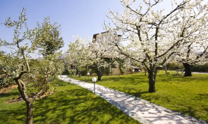 Rexer-Negrar-Appartamento-in-splendida-Villa-a-Negrar-CAMERA-DA-LETTO