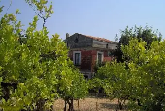 Rexer-Rodi-Garganico-Rustico-Casale-in-contrada-mascherizza-Rodi-Garganico-ALTRO