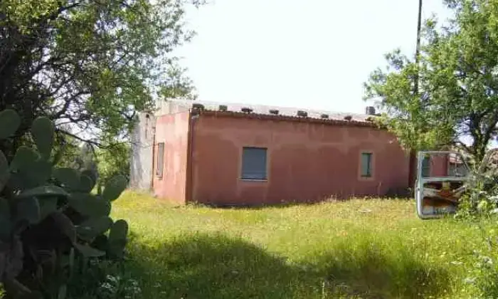 Rexer-Cerchiara-di-Calabria-Cerchiar-di-calabria-casolare-con-terreno-ulivetato-vendo