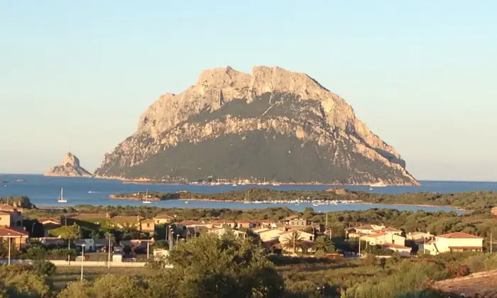 Rexer-Loiri-Porto-San-Paolo-Appartamenti-Panoramici-Su-TAVOLARA-PANORAMA