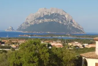 Rexer-Loiri-Porto-San-Paolo-Appartamenti-Panoramici-Su-TAVOLARA-Panorama