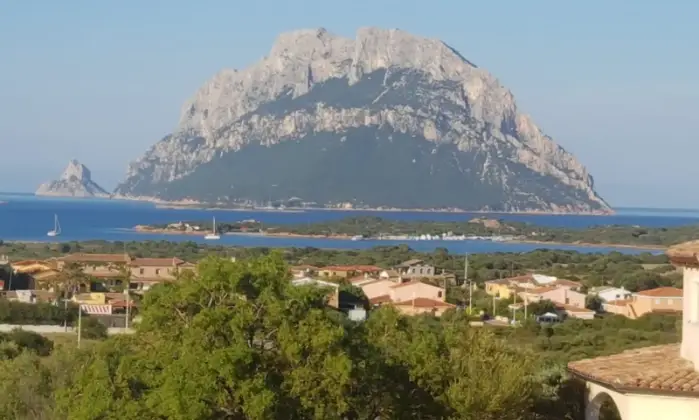 Rexer-Loiri-Porto-San-Paolo-Appartamenti-Panoramici-Su-TAVOLARA-Panorama