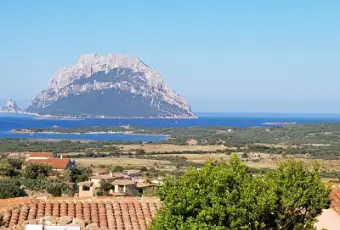 Rexer-Loiri-Porto-San-Paolo-Appartamenti-Panoramici-Su-TAVOLARA-Panorama