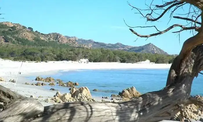 Rexer-OROSEI-VILLA-BARBISLA-MARINA-di-OROSEI-ALTRO