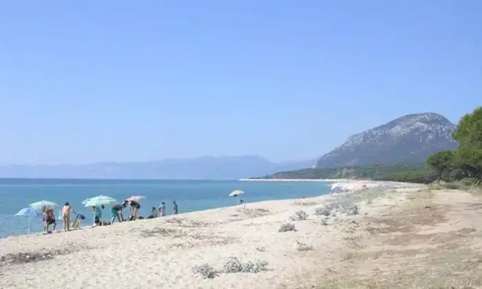 Rexer-Orosei-Affitto-di-trilocale-in-via-Sicilia-Orosei-ALTRO