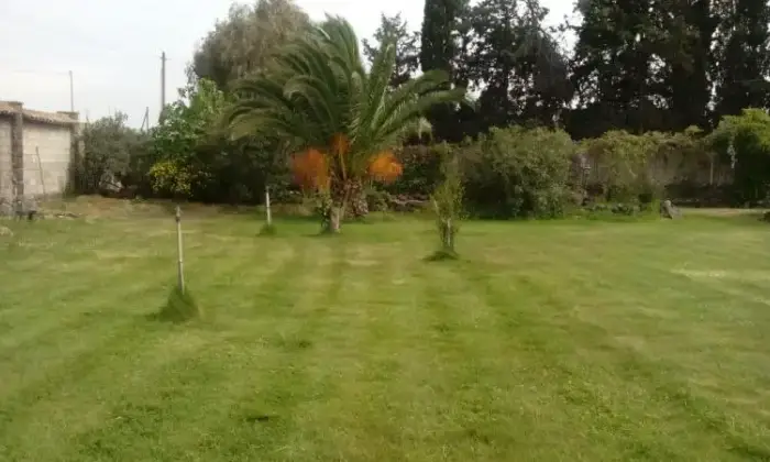 Rexer-Oristano-Casa-in-campagna-in-affitto-GIARDINO