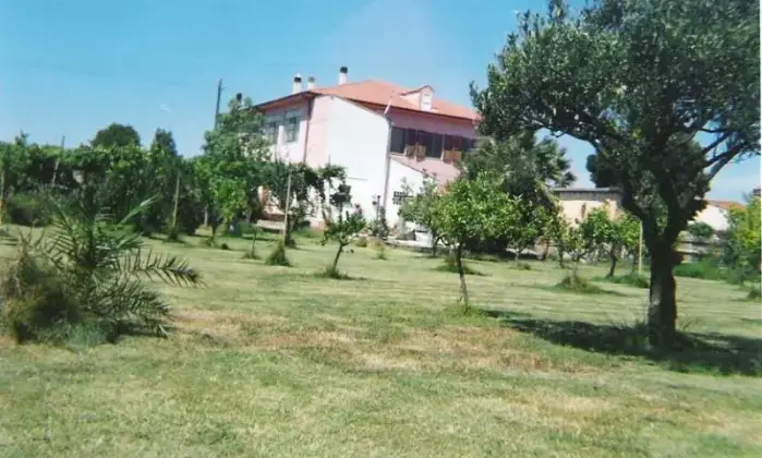 Rexer-Oristano-Casa-in-campagna-in-affitto-GIARDINO