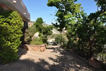 Rexer-Budoni-Affitto-VILLA-con-PISCINA-in-SARDEGNA-Budoni-GIARDINO