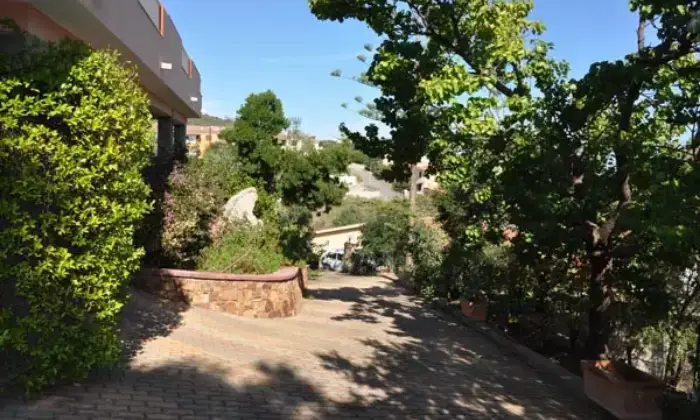 Rexer-Budoni-Affitto-VILLA-con-PISCINA-in-SARDEGNA-Budoni-GIARDINO