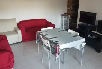 Rexer-Ancona-AFFITTASI-A-STUDENTI-SALONE