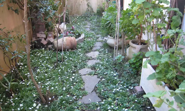 Rexer-Roma-Porta-di-Roma-affitto-app-piano-terra-mq-con-veranda-mq-e-giardino-mq-arredato-due-camere