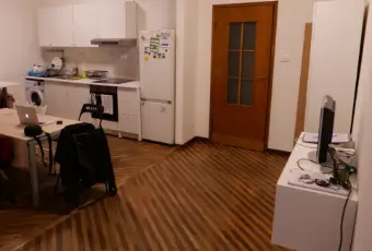 Rexer-Bologna-Affitto-studentilavoratori-referenziati-in-appartamento-CUCINA