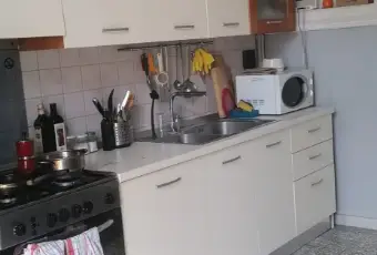 Rexer-Torino-Affittasi-una-camera-a-studentessa-CUCINA
