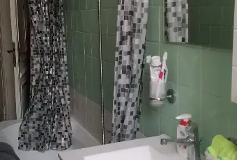Rexer-Torino-Affittasi-una-camera-a-studentessa-BAGNO