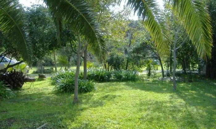 Rexer-Budoni-Deliziosa-Villa-a-mt-dal-mare-Giardino