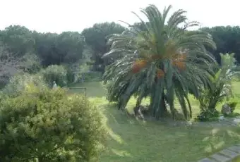 Rexer-Budoni-Deliziosa-Villa-a-mt-dal-mare-Giardino