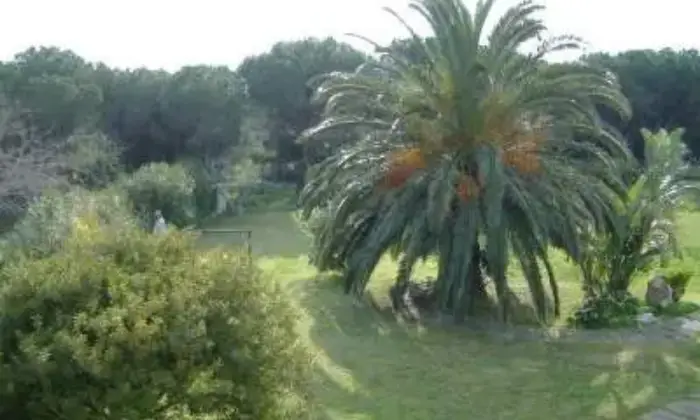 Rexer-Budoni-Deliziosa-Villa-a-mt-dal-mare-Giardino