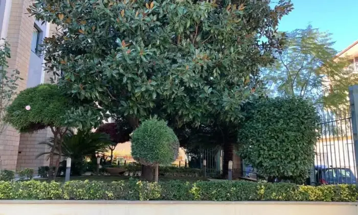Rexer-SantAntimo-Affitto-ufficionegozio-sito-in-bel-palazzo-curato-con-ampio-giardino-GIARDINO