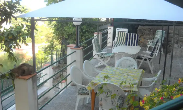 Rexer-Sanremo-Casa-indipendente-vista-mare-ristrutturata-con-tre-appartamenti-grande-giardino-garage-GIARDINO