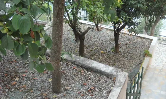 Rexer-Sanremo-Casa-indipendente-vista-mare-ristrutturata-con-tre-appartamenti-grande-giardino-garage-SALONE